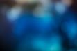 Software Development Software Development