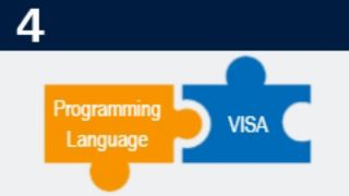 VISA in Programming Languages