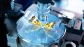 Rohde & Schwarz lädt zum RF Testing Innovations Forum 2025, wo Branchenexperten ihr HF-Know-How vermitteln Rohde & Schwarz lädt zum RF Testing Innovations Forum 2025, wo Branchenexperten ihr HF-Know-How vermitteln