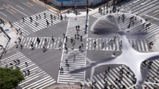 Protecting the sky white paper