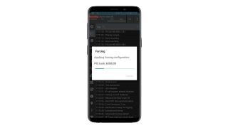 Advanced forcing – cell locking Advanced forcing – cell locking