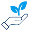 growing_plant_in_hand