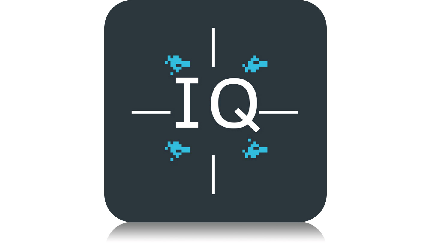 I/Q Software Interface